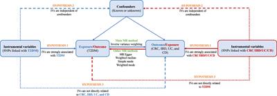 Causal linkage between type 2 diabetes mellitus and inflammatory bowel disease: an integrated Mendelian randomization study and bioinformatics analysis